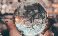 The background of the picture is a blurry tree that is flowering. A white hand in the bottom center of the picture is holding a clear globe in their hand. The globe is reflecting the background, and an upside down tree shows up in the globe. 