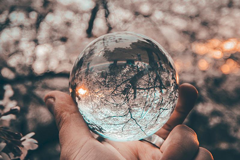 The background of the picture is a blurry tree that is flowering. A white hand in the bottom center of the picture is holding a clear globe in their hand. The globe is reflecting the background, and an upside down tree shows up in the globe. 