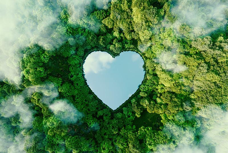 A heart-shaped lake in the middle of untouched nature - a concept illustrating the issues of nature conservation, bio-products and the protection of forests and woodlands in general.