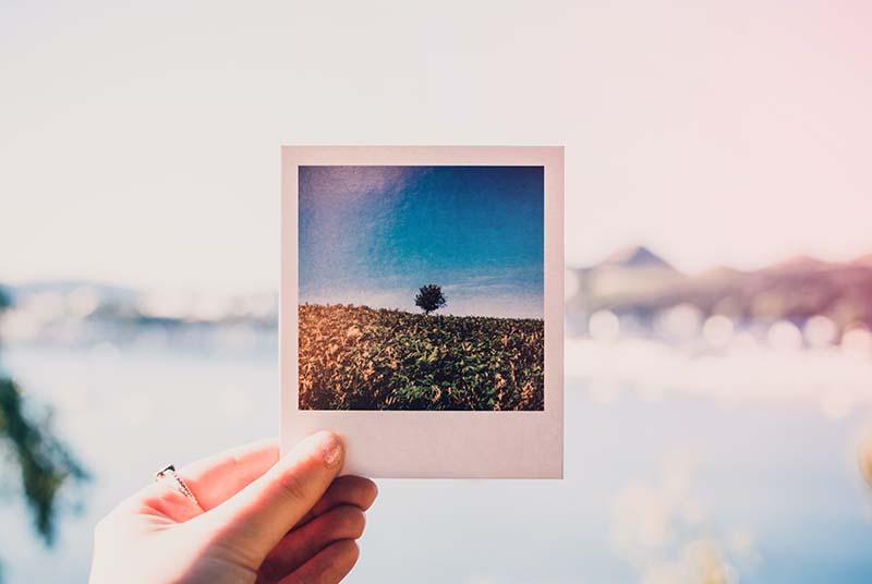 A white female hand with nail polish and ring on its index finger is holding a polaroid to the left center of the photo. The photograph is of a landscape with fall foliage on the bottom, a lone tree to the top right, and blue sky at the top.  