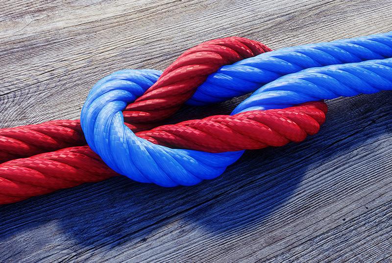 Blue and Red rope knot