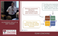 Team Coaching: The Art and Science